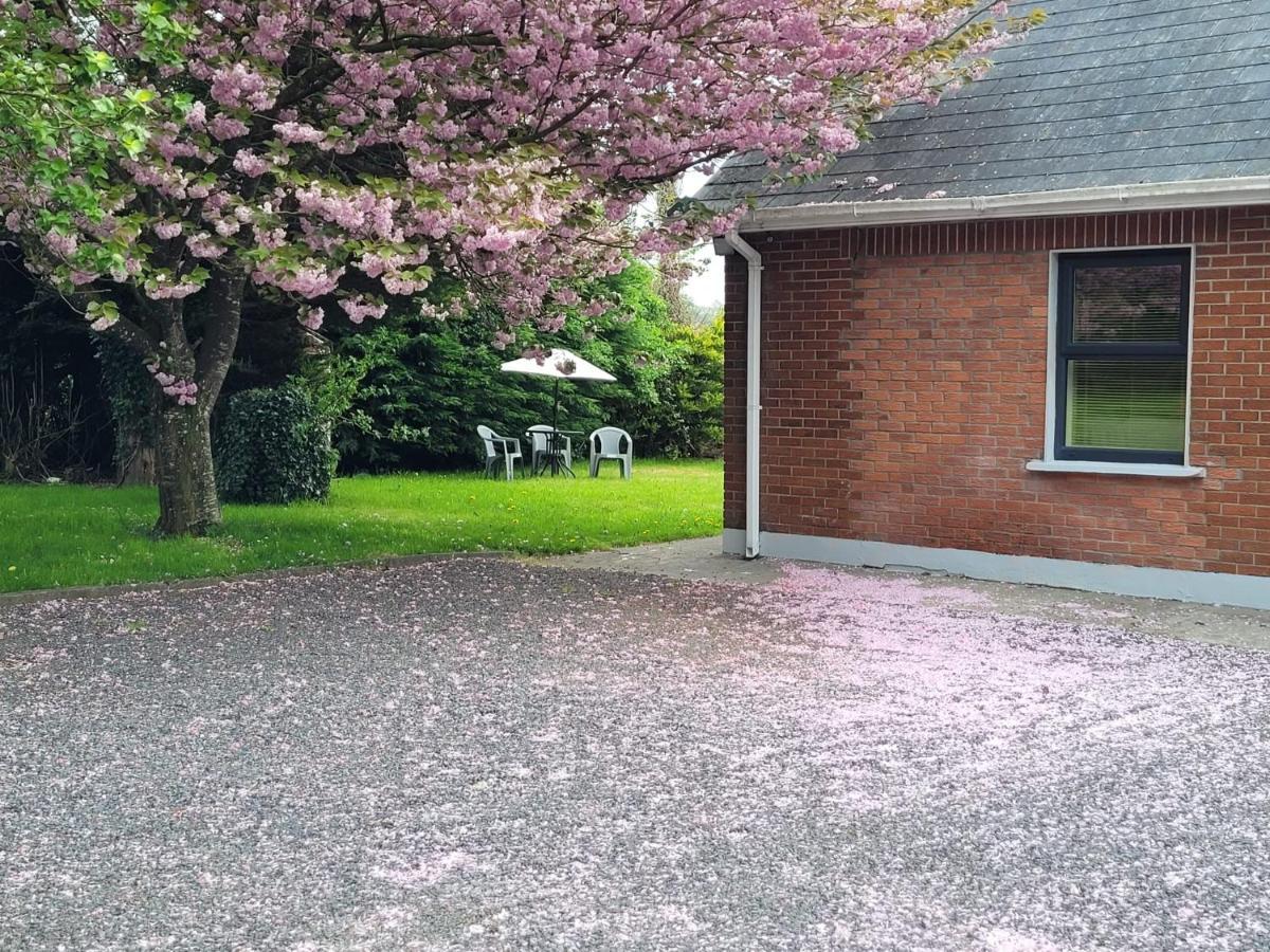 Beechwood House ,Apartment C15Ya44 Slane Exterior foto
