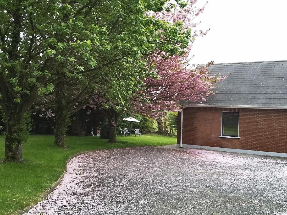 Beechwood House ,Apartment C15Ya44 Slane Exterior foto